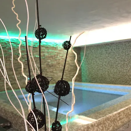 酒店 4号温迪spa&健康酒店 东塞斯特里